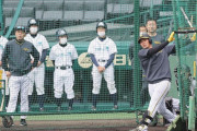 【虎になれ】井上広大19日スタメン　岡田監督の起用法には意味がある　まず広島遠藤淳志打ち