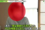 【悲報】反ワク夫「うおおおお！！ワクチン反対！娘の学校でビラ配るぞおおおお！！」