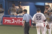 【GIF】ヤクルト村上が近本のサイン盗みっぽい動きを指摘→阪神ベンチブチギレ