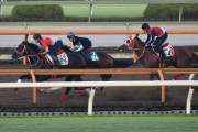 藤田晋オーナーの高額馬フェイトが今週デビュー 矢作師も絶賛