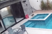 【動画】豪邸で飼われているネコちゃんが庭のプールに落ちて大パニックに（汗）