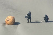 浜松の海岸に謎の球体が漂着