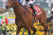 【4年間勝鞍無しでもまだ走る】ダービー馬マカヒキ　8歳で初の天皇賞(春)へ
