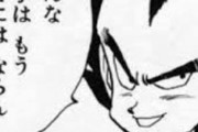 【ドラゴンボール】ベジータ(戦闘力18000)｢このオレが宇宙一なのだあああああ！！｣