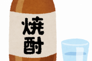 イオンの焼酎、マジで安すぎる