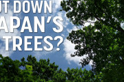 日本の「森林問題」を解説！海外「森林が多すぎだって！？」