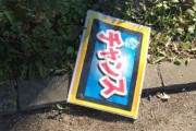 【激アツ】これが道に落ちていたんやがｗｗｗ