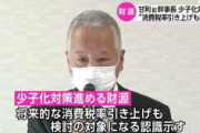 自民・甘利「少子化対策の財源、消費税の引き上げも検討の対象になる」