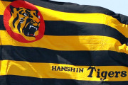 【死のロード】阪神、昨日まで32試合連続屋外球場だった