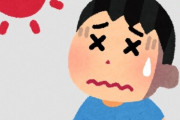 今日みたいに猛烈に暑い日は子供やペットの熱中症に注意！散歩は危ないぞ