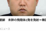 ヤフーさん、金正恩氏てふざけてしまうｗｗ