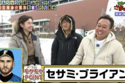 【モヤさま】日ハム伝説の助っ人セサミ・ブライアンｗｗｗｗｗｗｗｗ