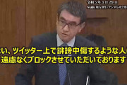 河野太郎大臣「ネットで誹謗中傷する人はブロックする。公人がリーダーシップを取ってやるべき」