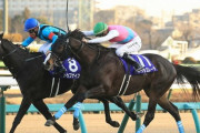 【今年だけでG1を6勝】ドゥラメンテの死は日本競馬界の損失
