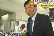 【議員を直撃】“ビジネスクラス”移動“1泊6万超スイート”宿泊…県会議員8人が「高額な海外視察」　県民は猛批判　香川
