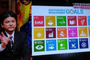 テレビ番組「SDGs！SDGs！とにかくSDGs！」←これなんか既視感あるよな