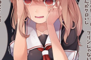 【艦これ】あまりに真実を知りすぎて心が壊れたぽいぬちゃん 他