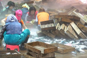 【悲報】韓国の漁港、とんでもない方法で魚を仕分けてしまうWWW