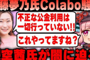 【Colabo裁判】暇空茜、判決文で火の玉ストレートを喰らう