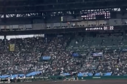 【速報】甲子園 土砂降り