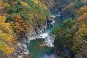栃木県、富山県、和歌山県、山口県←このどれかに10年住めと言われたらどこを選ぶ？