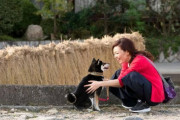 犬を扱うように障害ある生徒に接してと指導