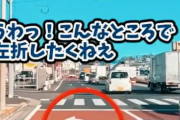 【動画】これって教習所で習った？
