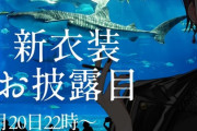 郡道美玲がデフォルト衣装変更！？新衣装お披露目告知【にじさんじ】
