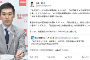 【国旗損壊罪】共産山添「『お子様ランチの旗は対象外』というが、『お子様ランチを政治的に利用すれば対象』とされかねない」←は？