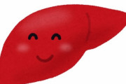 肝臓｢・・・あっ！｣　ワイ｢どしたん！？｣