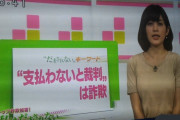 NHK「支払わないと裁判は詐欺」騙されないで！