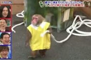 【胸糞】ほこたてとかいう悪質なヤラセで消された番組wwwwww