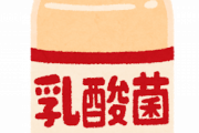 ヤクルトレディという1本80円の飲み物を売り歩いて生計を立てている謎の存在・・・