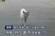 盲導犬、警察犬←いる、盲導猫、警察猫←いない