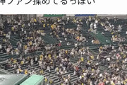 阪神ファン、負けてブチギレ子供を殴り救急車送りにする