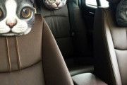 車のシートに猫のクッション付けてる人いるでしょ？