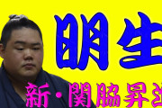 【新番付発表】明生が新関脇に昇進！おめでとうございます！