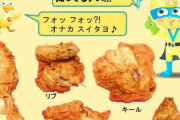 【画像】ケンタッキーの5部位のチキンにひとつだけ「戦力外」がおる…