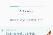 【ポケモンGO】6キロタマゴてあったっけ？