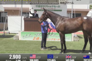 海外の反応    「さらに日本の血統が必要」オルフェーヴル産駒を米大物馬主が落札！