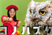 “キャプテンかなこ＆たんぽぽしおりんの挑戦!!” ももくろちゃんZ『とびだせ!ぐーちょきぱーてぃー』第199回 配信開始！