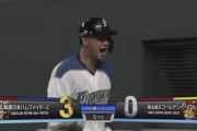日ハム中田、64試合で73打点ｗｗｗｗｗｗｗｗ