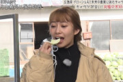【元乃木坂46】こんなに美人なのに、たまにちょっとアホっぽい顔になるのいいよなｗｗｗｗｗ