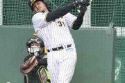 阪神マルテが“宜野座１号”ランチ特打で柵越え11本　昨季短髪からドレッドヘアに変身