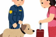 フィンランドの空港で「コロナ探知犬」が出勤開始　「この犬たちは新型コロナをほぼ１００％探知できる」