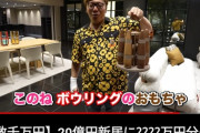 【速報】ヒカキン、ガチの金持ちだった