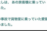 笠井信輔、衝突炎上事故で愛猫失った日航機乗客コメントに涙…ペット客室に乗せるべきだと提案