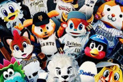 NPBのチームはチーム名とマスコットの動物を一致させるべきやないか？