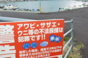 【島根】密漁されても漁協が告訴しない、5年間で1件も罪に問えず…「対応してくれない」漁業者が危機感