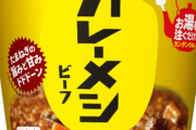カレーメシとかいう日清さん最大の失敗作